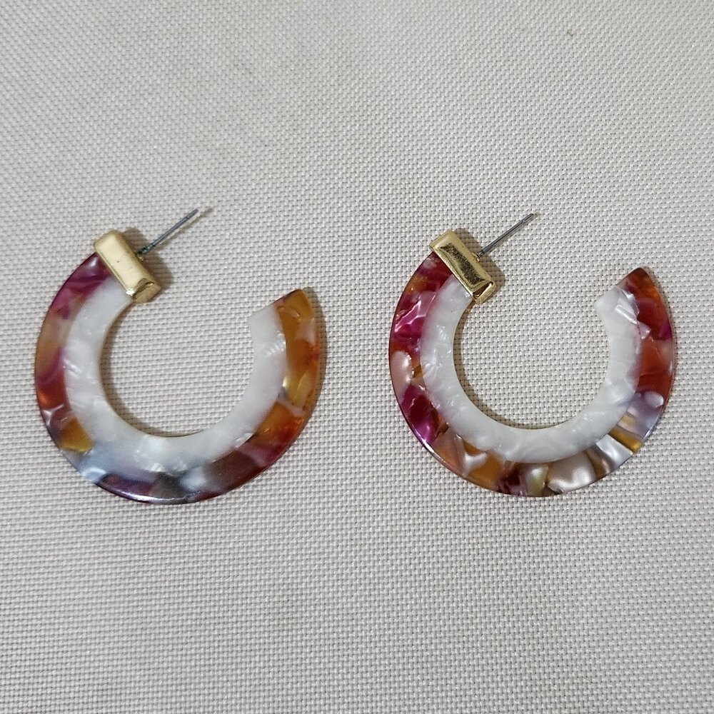 Multi Colored Earringa